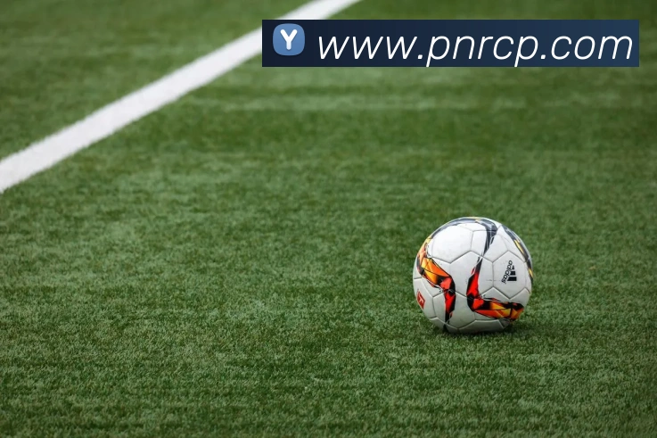 中彩网品牌故事