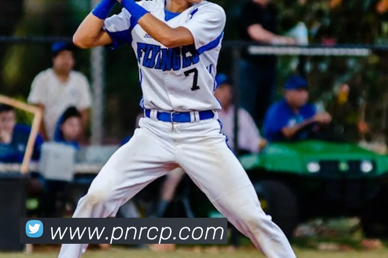 中彩网服务体系